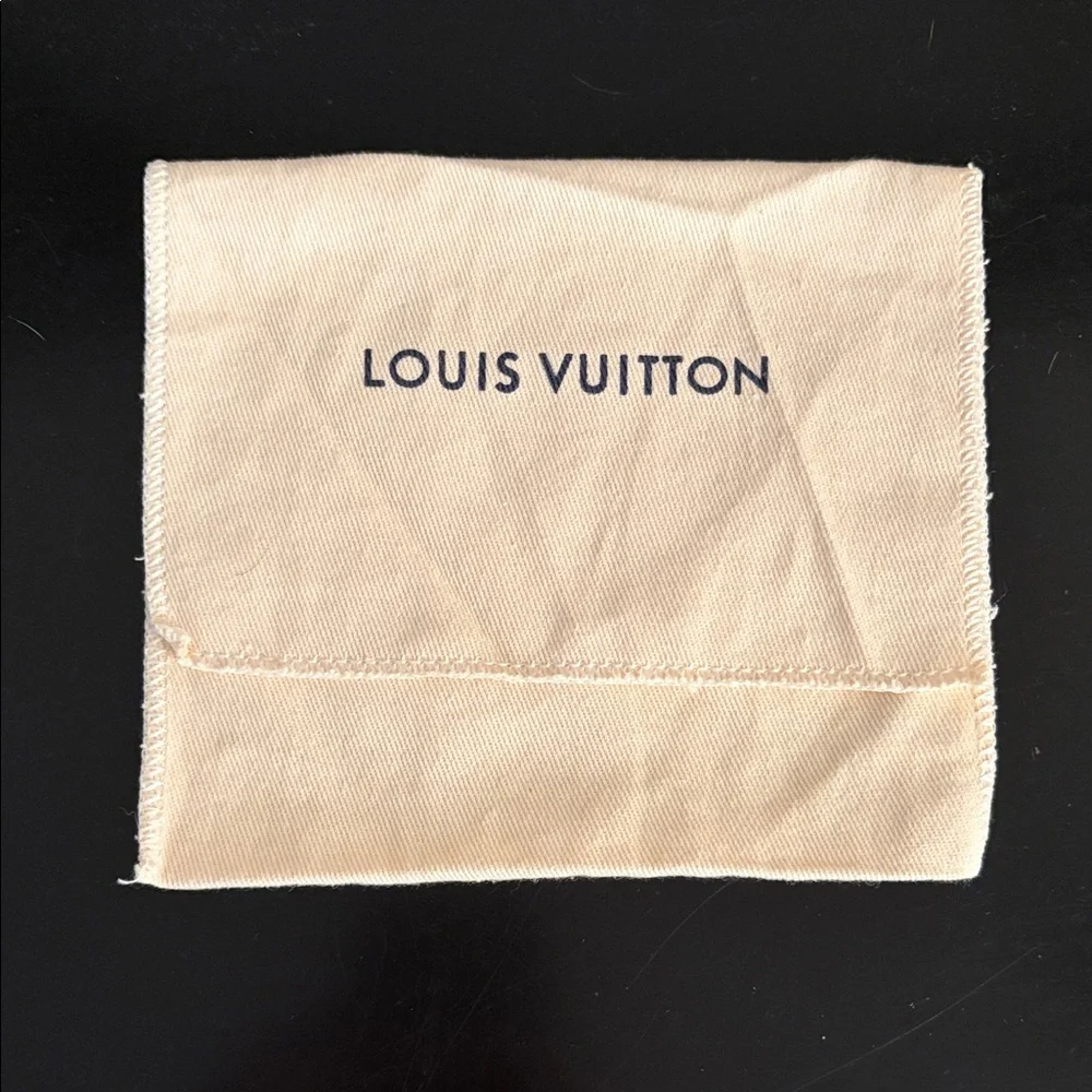 Louis Vuitton dustbag